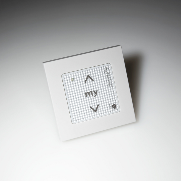 Lamellenstoren - Option Antriebsarten Wandschalter