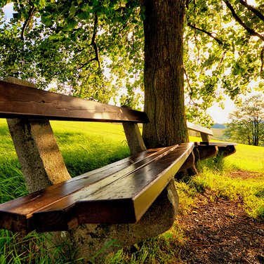 Engagement Engagement