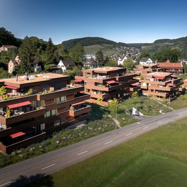 Projet Belvédère Projet Belvédère